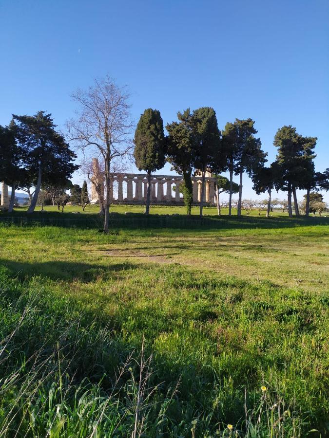 דירות Goethe Paestum House מראה חיצוני תמונה